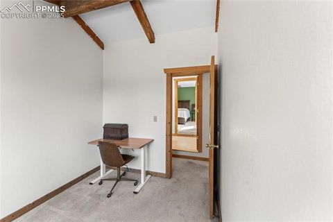 Tiny photo for 215 Southpark Road, Florissant, CO 80816 (MLS # 2260263)