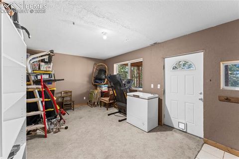 Tiny photo for 215 Southpark Road, Florissant, CO 80816 (MLS # 2260263)