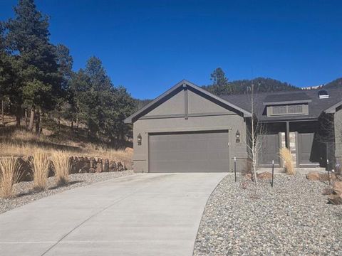 Photo of 542 Brecken Court, Woodland Park, CO 80863 (MLS # R13725294)