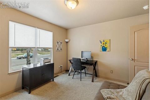 Tiny photo for 4005 Siferd Boulevard, Colorado Springs, CO 80917 (MLS # 2664327)