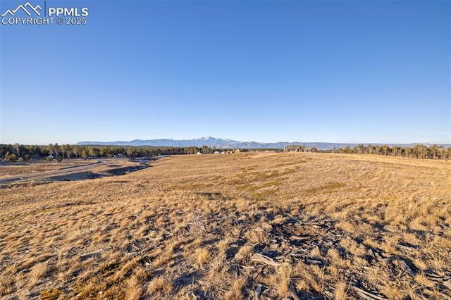 12692 Eagle Forest Drive