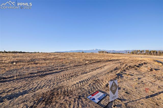 12692 Eagle Forest Drive
