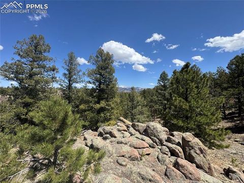 Photo of 487 Pike View Lane, Florissant, CO 80816 (MLS # 7996262)