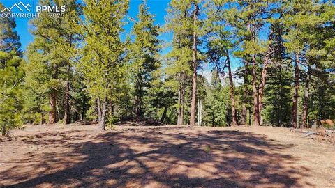 Photo of 178 Gerka Lane, Florissant, CO 80816 (MLS # 2078342) Photo of 178 Gerka Lane, Florissant, CO 80816 (MLS # 2078342)