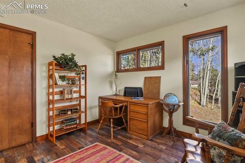 Tiny photo for 327 Lakewood Drive, Woodland Park, CO 80863 (MLS # 6790280)