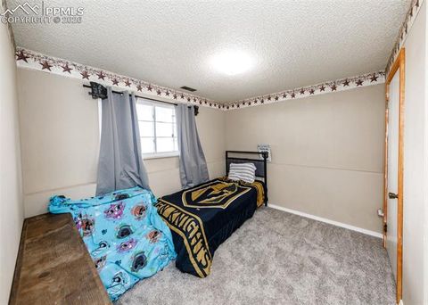 Tiny photo for 3830 Hemmingway Road, Colorado Springs, CO 80930 (MLS # 9075882)