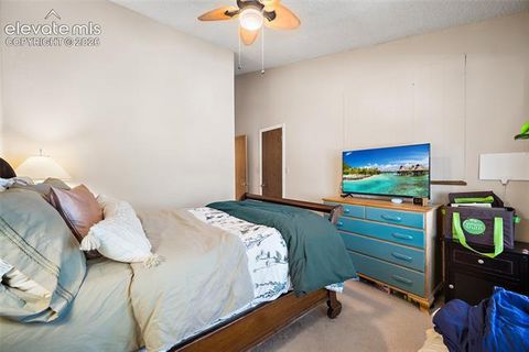 Tiny photo for 885 London Green Way, Colorado Springs, CO 80906 (MLS # 4929258)