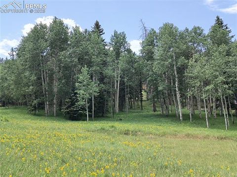 Photo of Will Scarlet Drive, Divide, CO 80814 (MLS # 2317025)