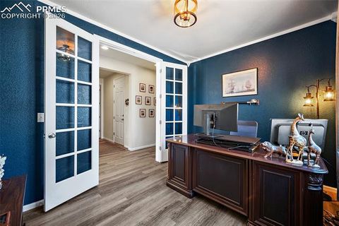 Tiny photo for 5662 Last Chance Drive, Colorado Springs, CO 80927 (MLS # 1770433)