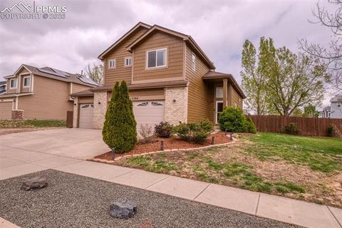 Photo of 5384 Arroyo Street, Colorado Springs, CO 80922 (MLS # 7613438)