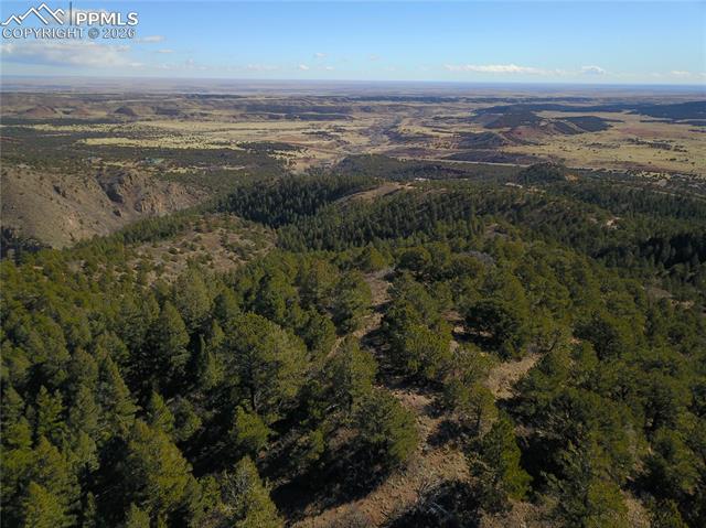 3735 Big Spruce Heights