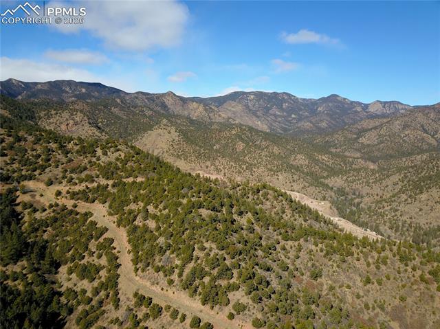 3735 Big Spruce Heights