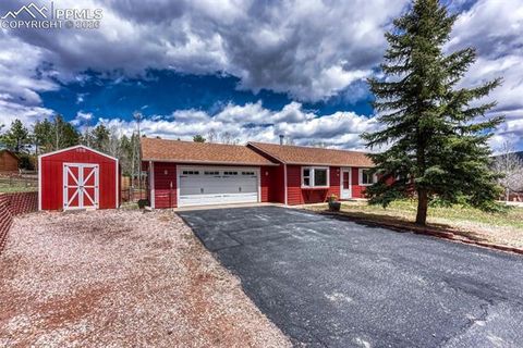 Tiny photo for 1300 Thomas Circle, Woodland Park, CO 80863 (MLS # 2635961)