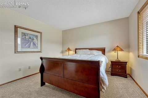 Tiny photo for 1300 Thomas Circle, Woodland Park, CO 80863 (MLS # 2635961)