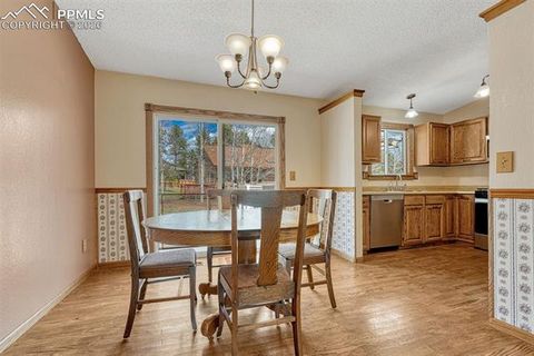 Tiny photo for 1300 Thomas Circle, Woodland Park, CO 80863 (MLS # 2635961)