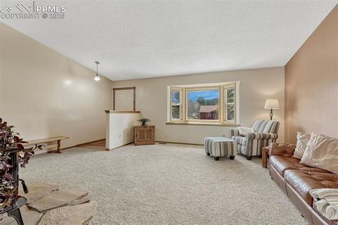 Tiny photo for 1300 Thomas Circle, Woodland Park, CO 80863 (MLS # 2635961)