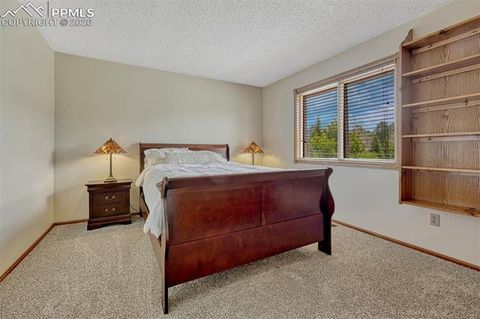 Tiny photo for 1300 Thomas Circle, Woodland Park, CO 80863 (MLS # 2635961)
