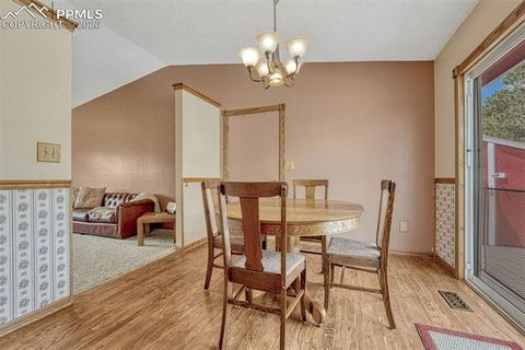 Tiny photo for 1300 Thomas Circle, Woodland Park, CO 80863 (MLS # 2635961)