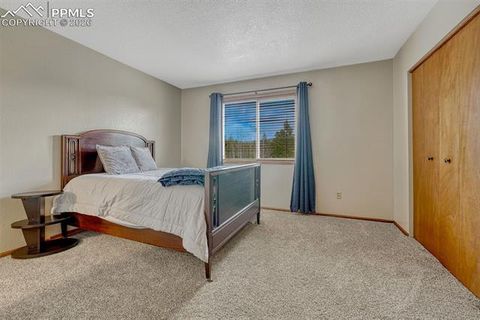 Tiny photo for 1300 Thomas Circle, Woodland Park, CO 80863 (MLS # 2635961)