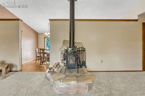 Tiny photo for 1300 Thomas Circle, Woodland Park, CO 80863 (MLS # 2635961)