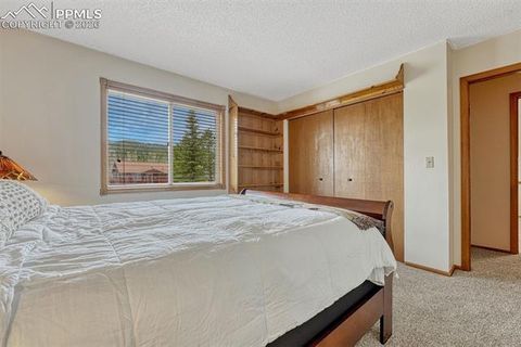 Tiny photo for 1300 Thomas Circle, Woodland Park, CO 80863 (MLS # 2635961)