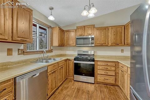 Tiny photo for 1300 Thomas Circle, Woodland Park, CO 80863 (MLS # 2635961)