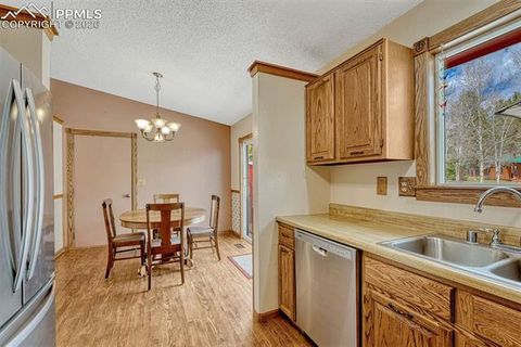 Tiny photo for 1300 Thomas Circle, Woodland Park, CO 80863 (MLS # 2635961)