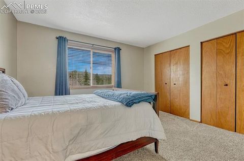Tiny photo for 1300 Thomas Circle, Woodland Park, CO 80863 (MLS # 2635961)
