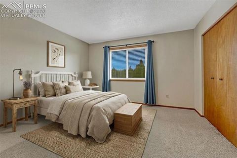 Tiny photo for 1300 Thomas Circle, Woodland Park, CO 80863 (MLS # 2635961)