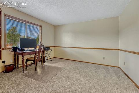 Tiny photo for 1300 Thomas Circle, Woodland Park, CO 80863 (MLS # 2635961)
