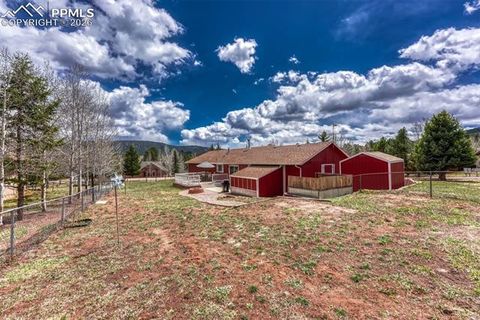 Tiny photo for 1300 Thomas Circle, Woodland Park, CO 80863 (MLS # 2635961)