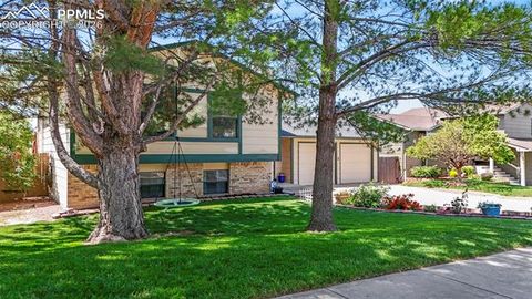 7385 Powderwash Drive Colorado Springs CO 80911