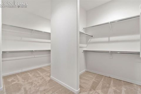 Tiny photo for 10491 Hawks Hill Court, Colorado Springs, CO 80908 (MLS # 5973851)