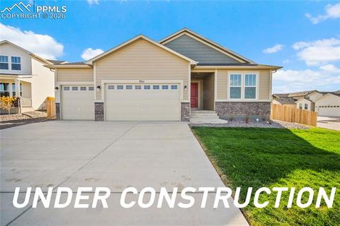 Photo of 9133 Golden Buffs Drive, Colorado Springs, CO 80925 (MLS # 7631685)