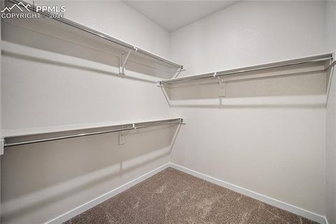 Tiny photo for 9133 Golden Buffs Drive, Colorado Springs, CO 80925 (MLS # 7631685)