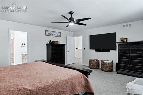 Tiny photo for 9003 Yellowtail Way, Colorado Springs, CO 80908 (MLS # 8914121)