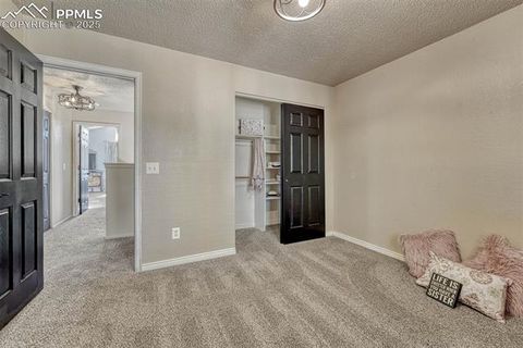 Tiny photo for 7295 Cotton Drive, Colorado Springs, CO 80923 (MLS # 4352152)