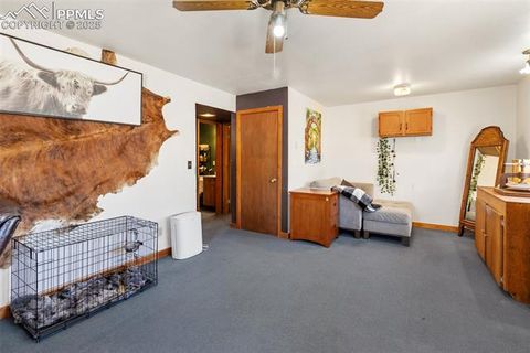 Tiny photo for 13469 Old Timer Trail, Woodland Park, CO 80863 (MLS # 6370063)