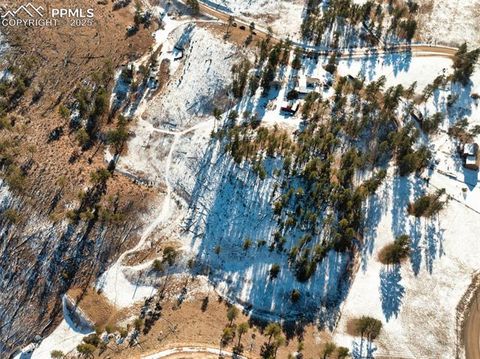 Tiny photo for 13469 Old Timer Trail, Woodland Park, CO 80863 (MLS # 6370063)