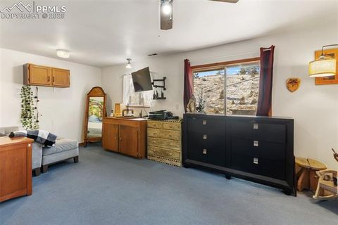 Tiny photo for 13469 Old Timer Trail, Woodland Park, CO 80863 (MLS # 6370063)