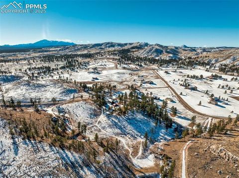 Tiny photo for 13469 Old Timer Trail, Woodland Park, CO 80863 (MLS # 6370063)