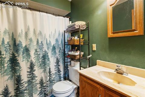 Tiny photo for 13469 Old Timer Trail, Woodland Park, CO 80863 (MLS # 6370063)