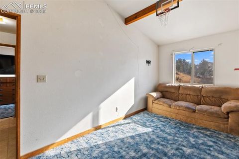 Tiny photo for 13469 Old Timer Trail, Woodland Park, CO 80863 (MLS # 6370063)