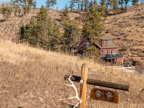 Tiny photo for 13469 Old Timer Trail, Woodland Park, CO 80863 (MLS # 6370063)