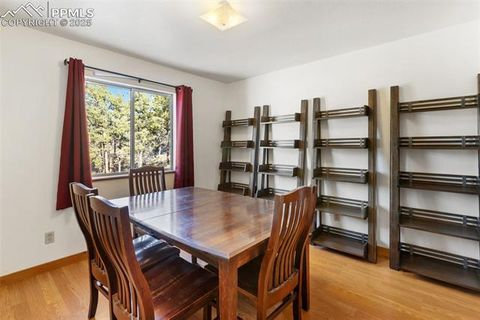 Tiny photo for 13469 Old Timer Trail, Woodland Park, CO 80863 (MLS # 6370063)