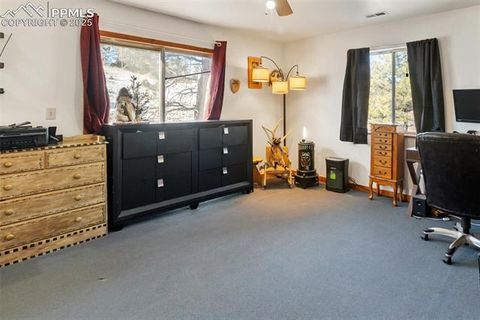 Tiny photo for 13469 Old Timer Trail, Woodland Park, CO 80863 (MLS # 6370063)
