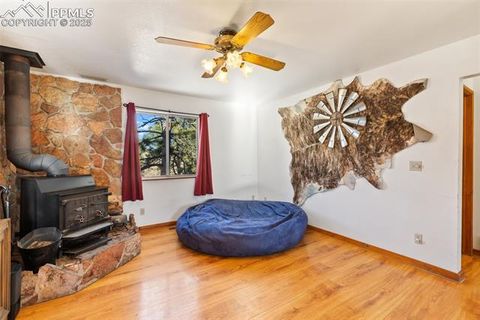 Tiny photo for 13469 Old Timer Trail, Woodland Park, CO 80863 (MLS # 6370063)