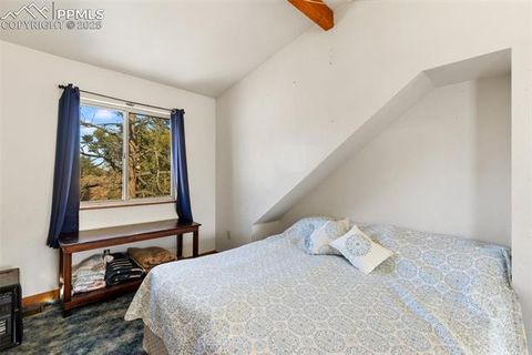 Tiny photo for 13469 Old Timer Trail, Woodland Park, CO 80863 (MLS # 6370063)