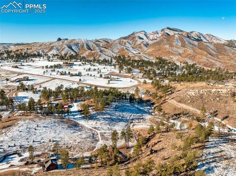 Tiny photo for 13469 Old Timer Trail, Woodland Park, CO 80863 (MLS # 6370063)