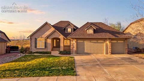 Photo of 322 Saber Creek Drive, Monument, CO 80132 (MLS # 7446959)
